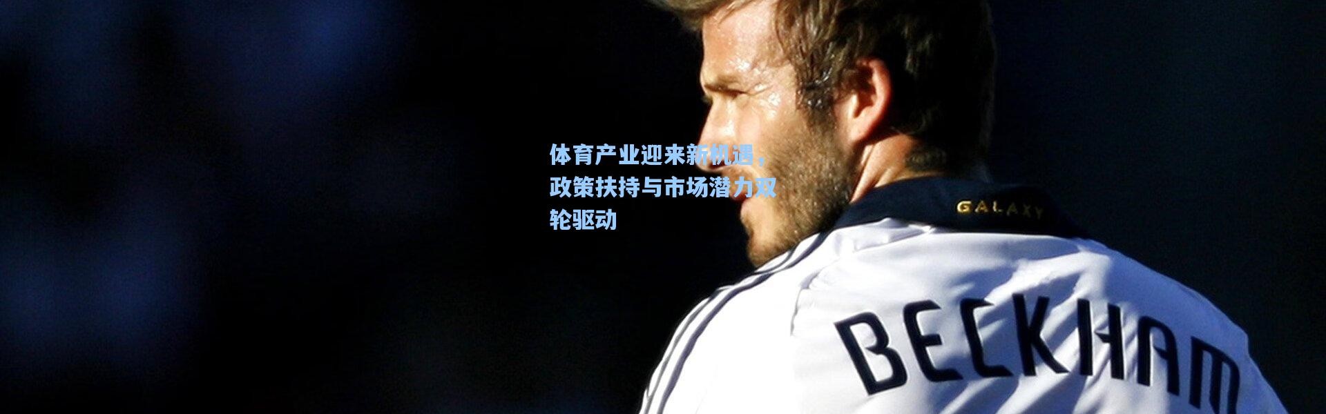 b体育app_体育产业迎来新机遇，政策扶持与市场潜力双轮驱动