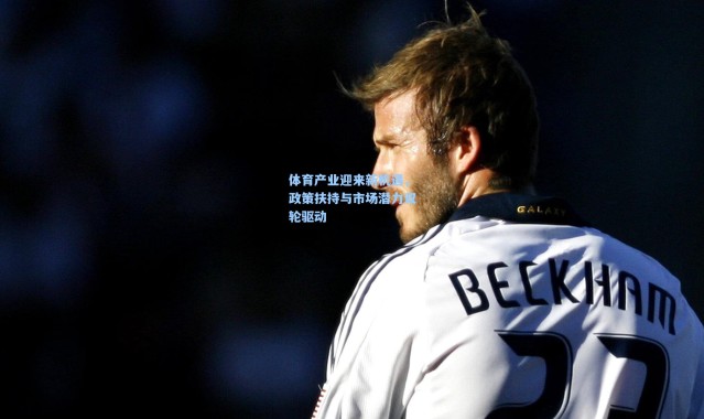 b体育app_体育产业迎来新机遇，政策扶持与市场潜力双轮驱动