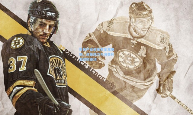 b体育官网-体育产业迎来黄金发展期，政策助力与消费升级双轮驱动