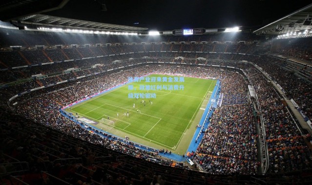 b体育-体育产业迎来黄金发展期，政策红利与消费升级双轮驱动