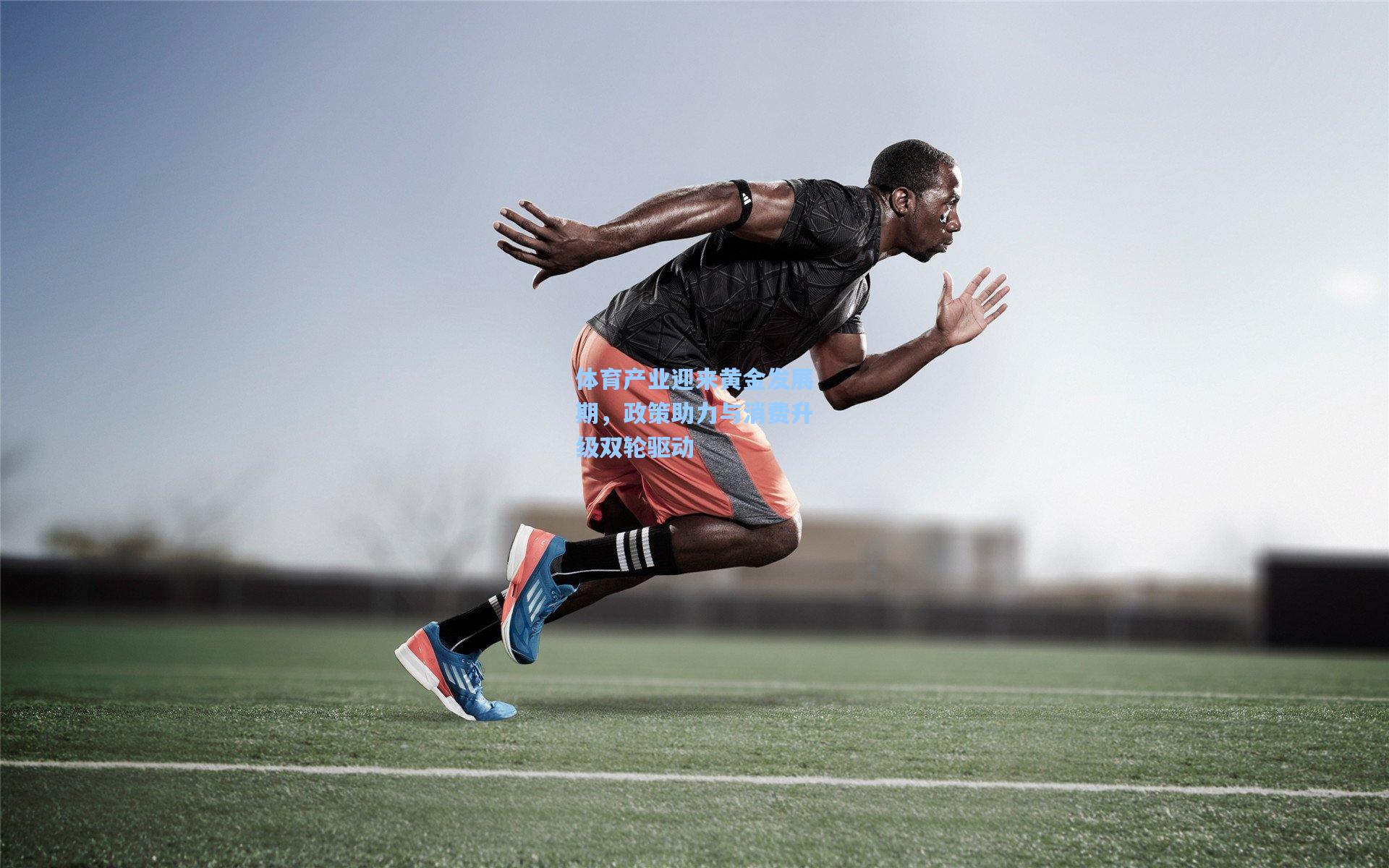 体育产业迎来黄金发展期，政策助力与消费升级双轮驱动